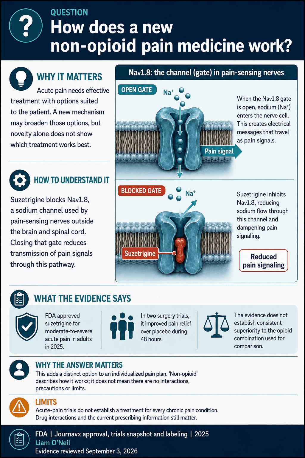 How does a nonopioid pain medicine interrupt the signal?